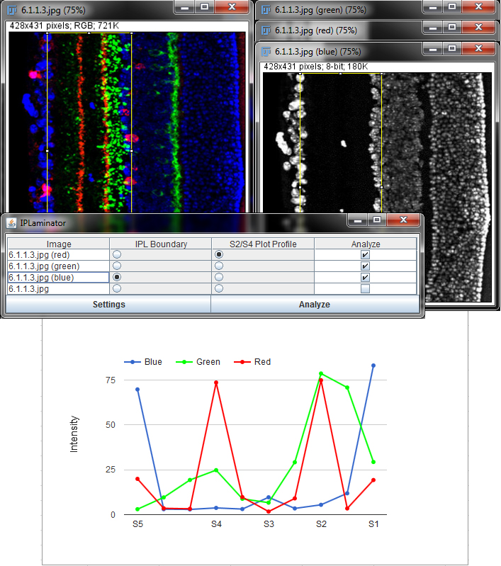 IPLaminator for FIJI